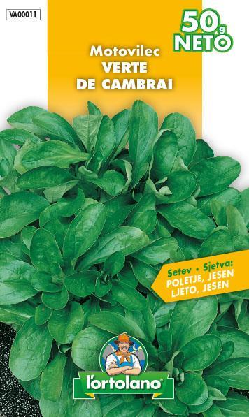 Motovilec Verte de Cambrai 50g