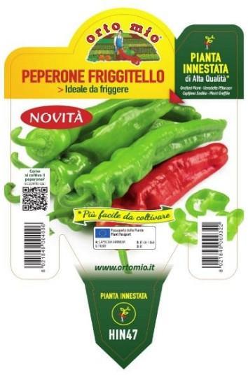 Paprika cepljena zelena podolgovata Toricello F1, 1 kos