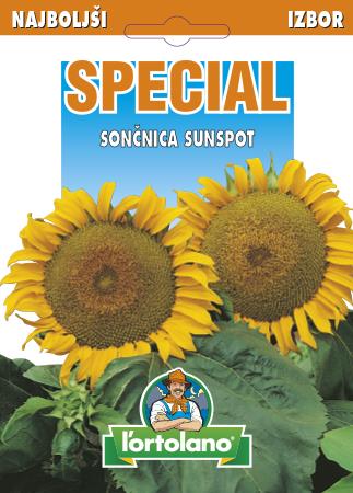 Sončnica Sunspot, 3 g