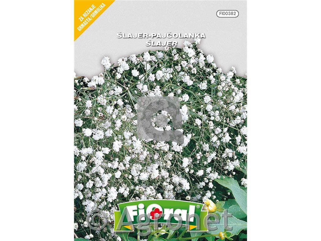 Šlajer-Pajčolanka (Gypsophila paniculata), 1,5 g