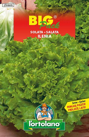 Solata Ilenia 20g