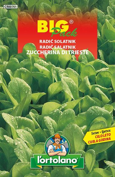 Radič Tržaški solatnik 20g