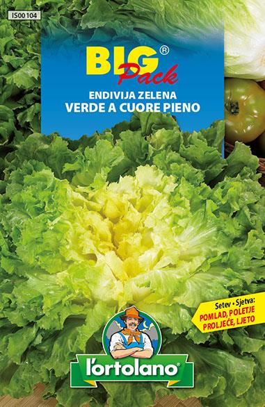 Endivja zelena 20g