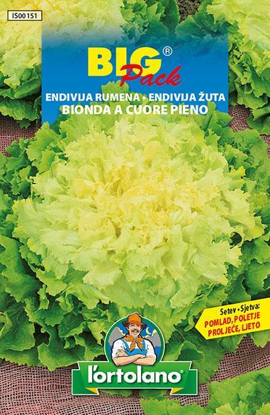 Endivija rumena – Bionda a cuore pieno 20g