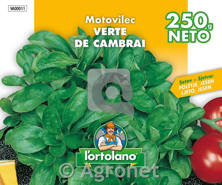 Motovilec Verte de Cambrai 250g