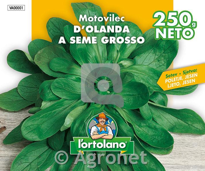 Motovilec holandski grosso, 250gr