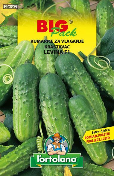 Kumarice za vlaganje Levina 10g