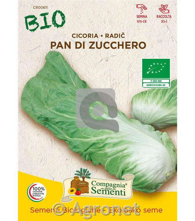 Radič Pan di Zucchero EKO 9 g