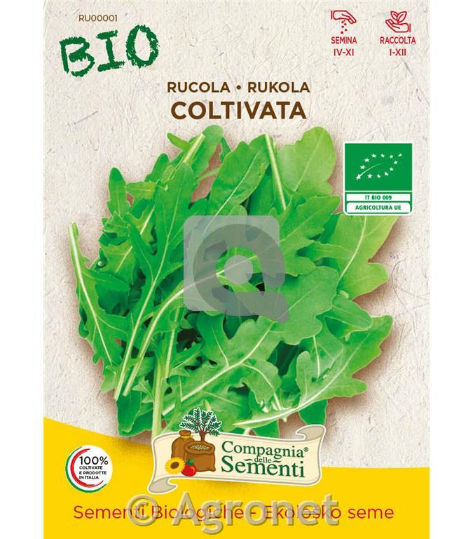 Rukola Coltivata EKO 10 g