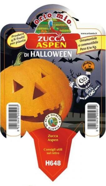 Bučke Halloween Racer F1, 1 kos