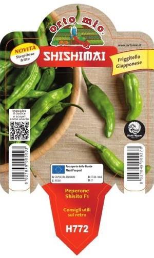 Paprika japonska podolgovata Shishimai F1, 1 kos