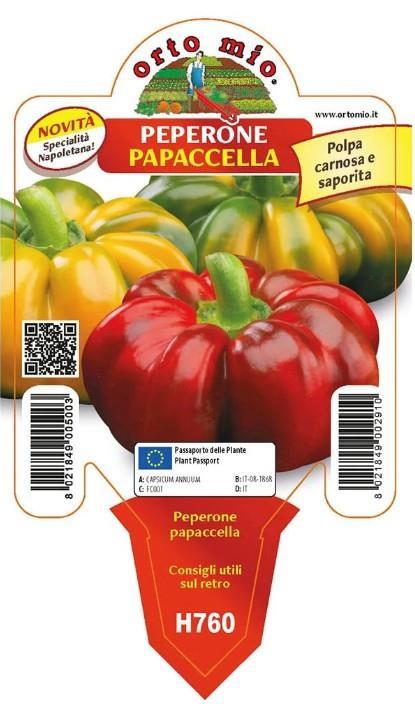 Paprika paradižnikova rebrasta Papaccella, 1 kos