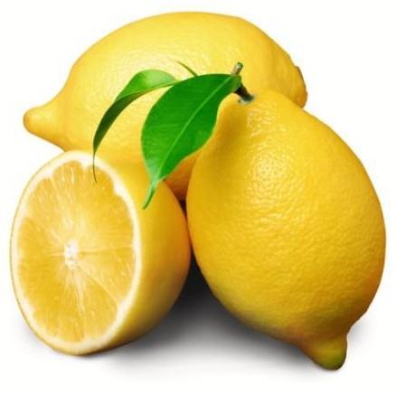 Citrus limonum - limona