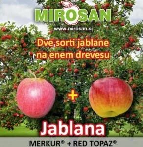 Jablana 2 sorti (Red Topaz in Merkur) M7