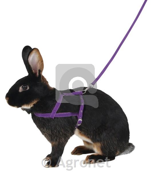 Oprsnica Agility vijolična, 21 cm - 35 cm, 2 m