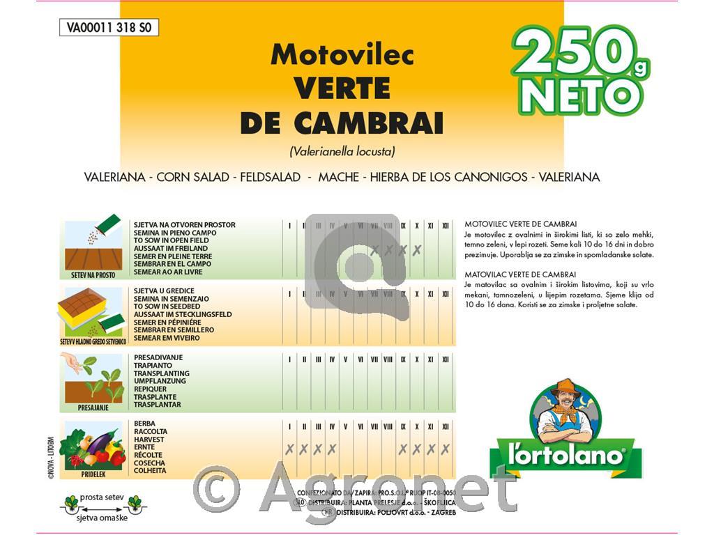 Motovilec Verte de Cambrai 250g