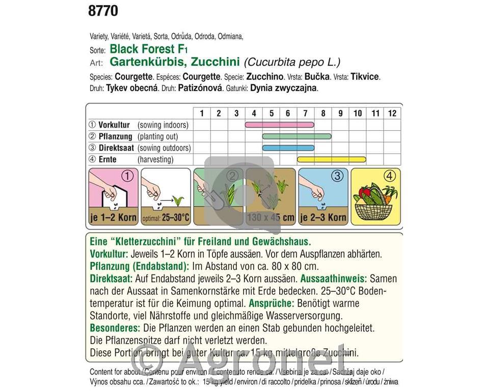 Zucchini bučke Black Forest F1, 5g