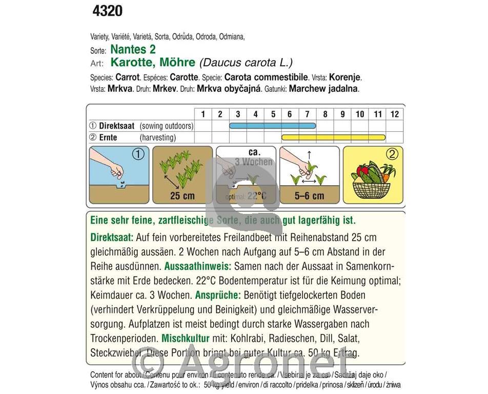 Korenček Nantes 2, 12g