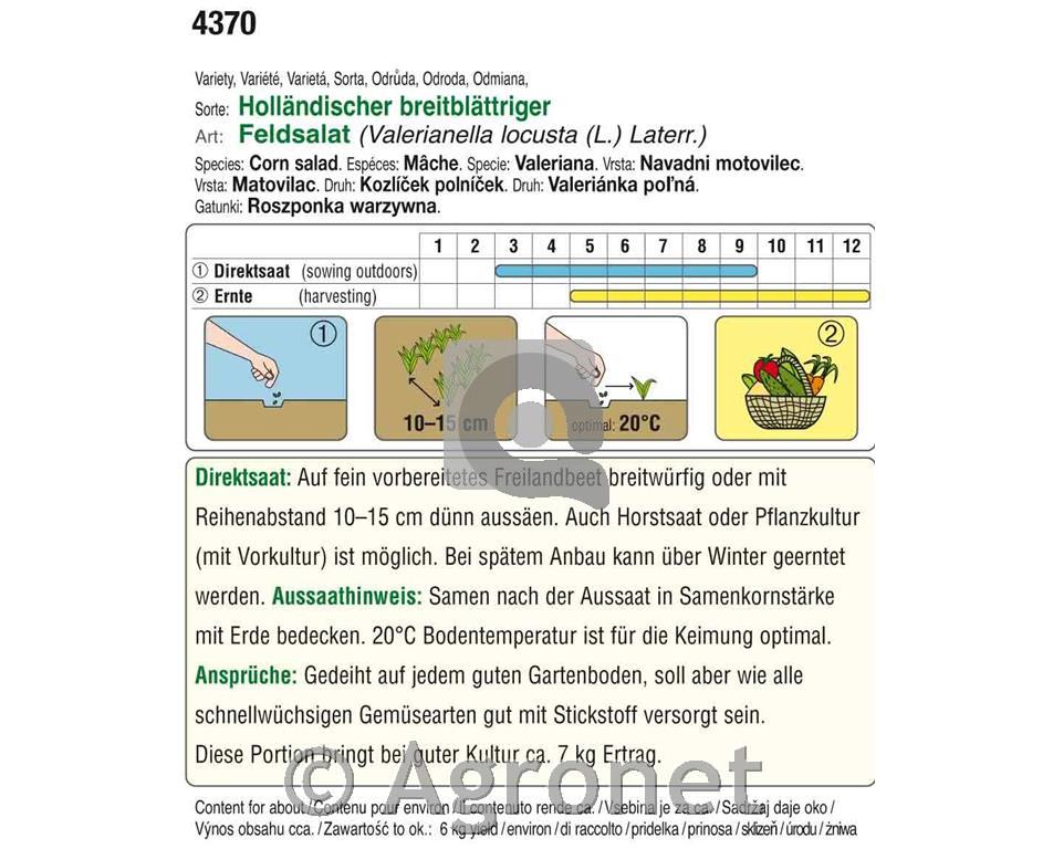 Motovilec Holländischer Breitblattriger, 17g