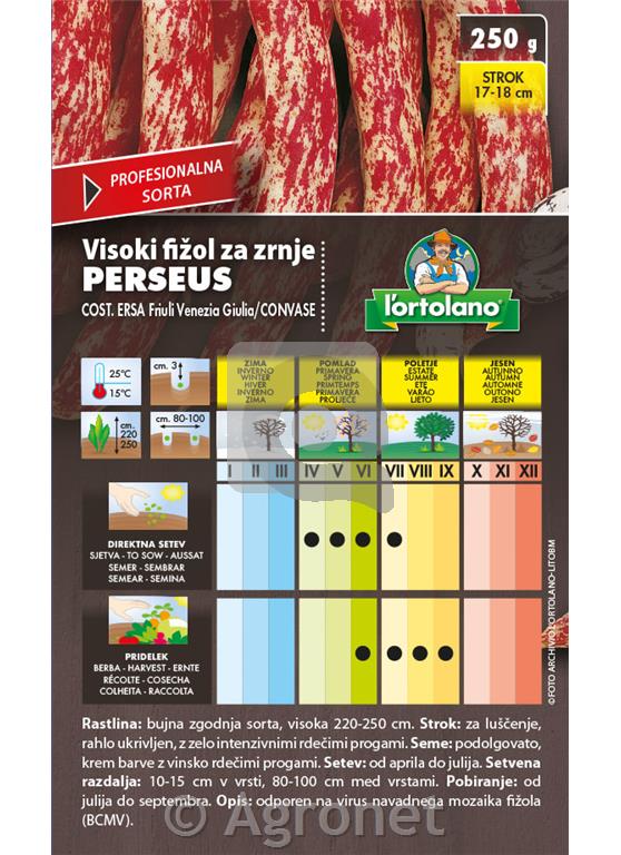 Fižol nizki za zrnje Perseus 250g