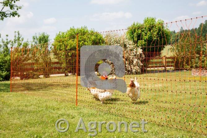 Mreža PoultryNet (dvojna konica) 106cm, 50m