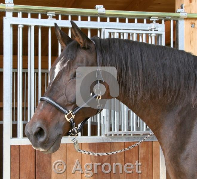 Hlevska uzda Mustang, črna/siva